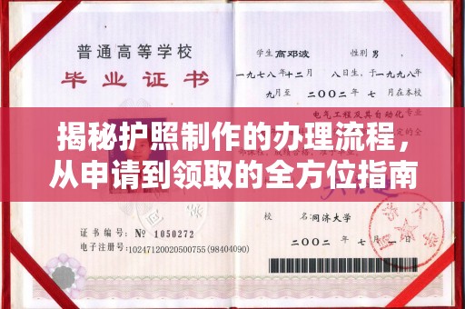 平桂揭秘护照制作的办理流程，从申请到领取的全方位指南